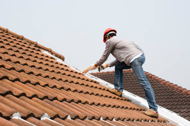 Reliable Belvedere, CA Roofing services Solutions